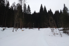 20190301_105016
