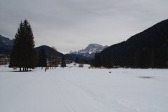 20190301_111334