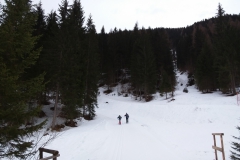 20190301_135134