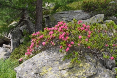 P7112498