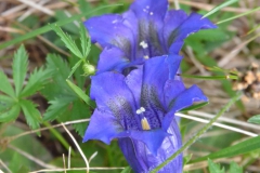P7112500f
