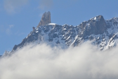 P7122533