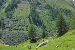 P7132548