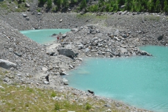 P7132555d