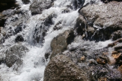 P7152631