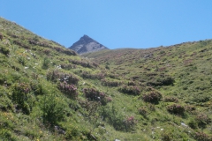 P7152650