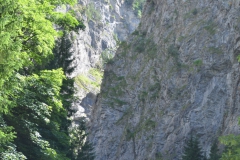 P7152688u