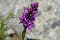 P7152688y