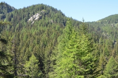 P7162690s