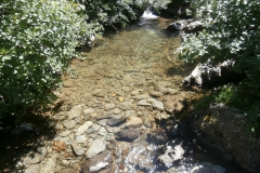 P7162706