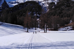 IMG_20200223_114048