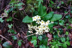 20190501_125347