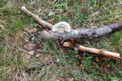 20190501_135331