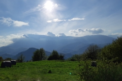 20190501_172823