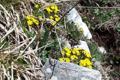 20190502_114808