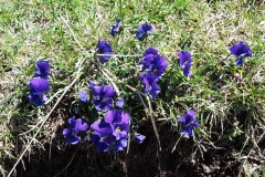 20190502_120643