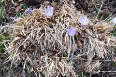 20190502_145555