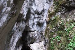 20190503_110526