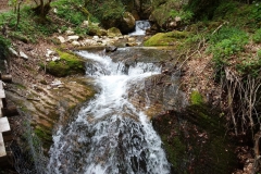 20190503_1116160