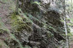 20190503_112344