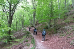 20190503_113441