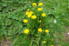 20190503_150705