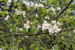 20190504_122115