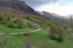 20190505_110744