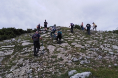 IMG_20210602_102815