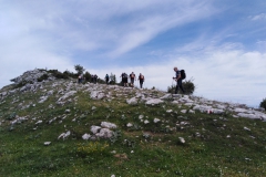 IMG_20210602_104141