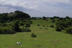 IMG_20210602_132349