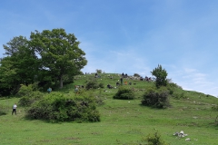 IMG_20210602_132539