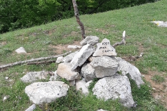 IMG_20210602_132540