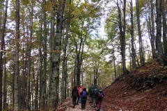 IMG_20221001_102513