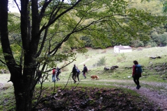 IMG_20221001_103210