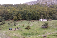 IMG_20221001_103309