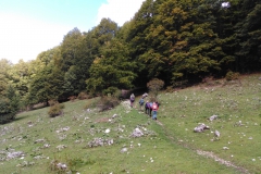 IMG_20221001_104716