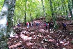 IMG_20221001_110049