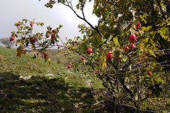 IMG_20221001_112251