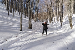 IMG_20230204_104651
