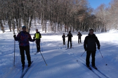IMG_20230204_105325