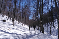 IMG_20230204_105526