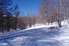 IMG_20230204_112401