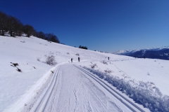 IMG_20230204_113120