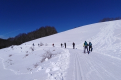 IMG_20230204_114209