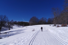 IMG_20230204_115655