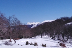 IMG_20230204_120013