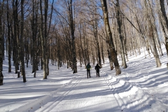 IMG_20230204_121429