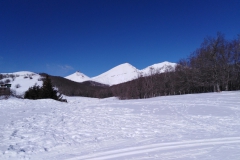 IMG_20230204_123513