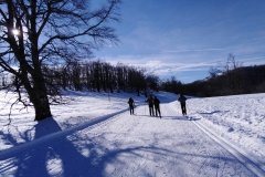 IMG_20230204_170231